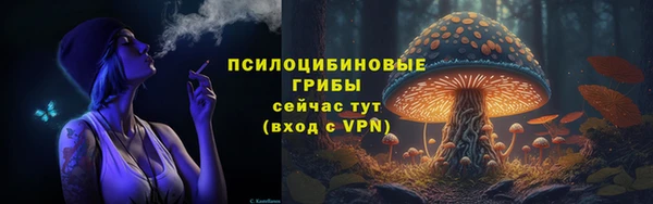 mdpv Горнозаводск