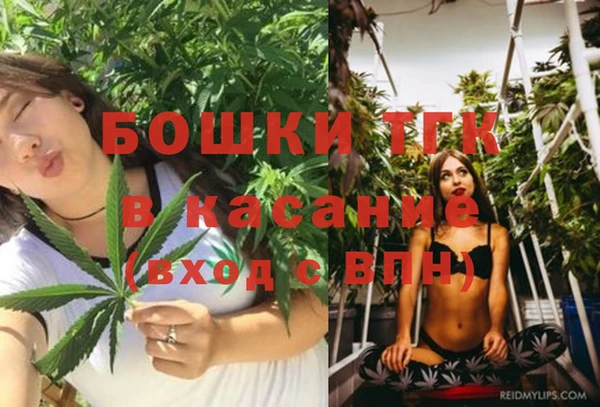 mdpv Горнозаводск