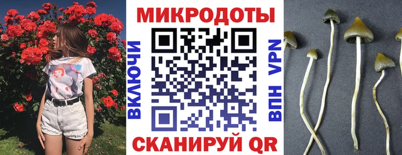 Купить закладки  Верхний Тагил  Галлюциногенные грибы Magic Shrooms 
